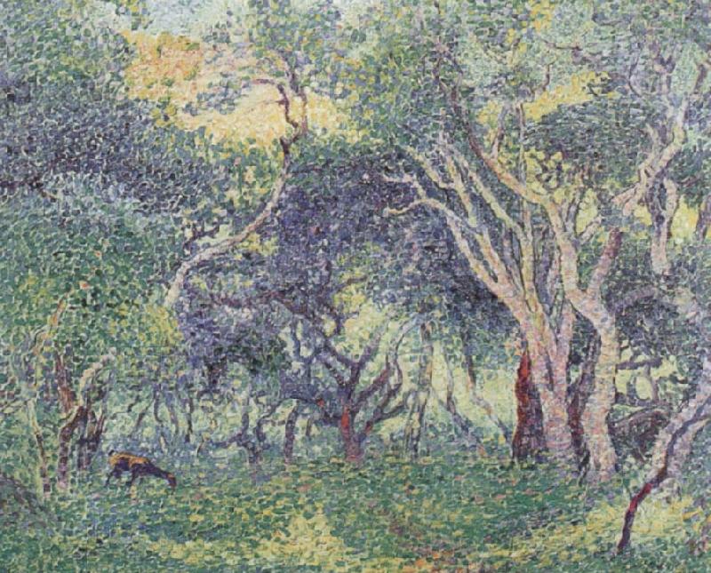 Henri Edmond Cross Undergowth